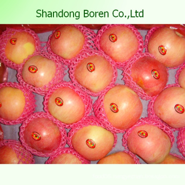 Supply Fresh Chinese FUJI Apple